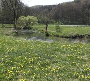 Waldlehrpfad an der Lauter