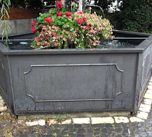 Erbiskasten Brunnen Ulm
