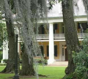 Houmas House 5