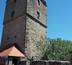 Wandern Waldbrunn (Odenwald)