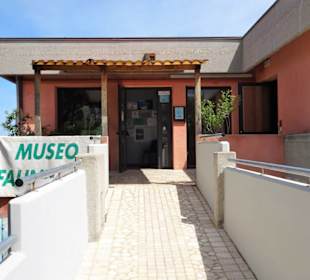 Eingang zum Museo della Foca Monaca