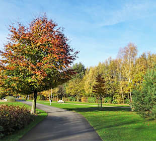 Impressionen aus dem Stadtpark Papenburg