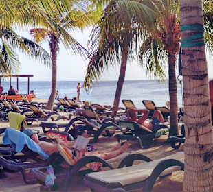 Curacao Jan Thiel Beach Relaxing Shade Under Palms