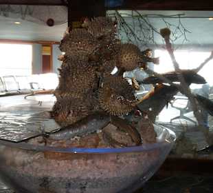 Sindbad Submarine - Wartebereich