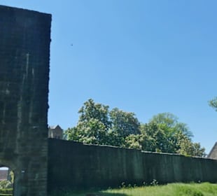 Die Burg Salzburg oberhalb von Bad Neustadt