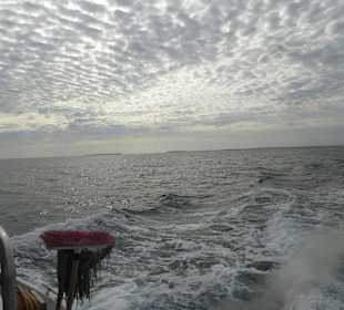 Auf den Weg zu den Inseln