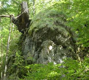 Bei einer Wanderung im Oytal bei Oberstdorf