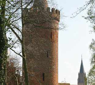 Neubrandenburg Fangel Turm