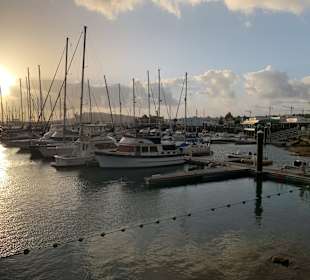 Yachthafen Rubicón