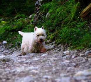 Mei, wie weit denn noch...
