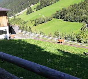 Wandern Kappl