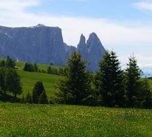 Seiseralm
