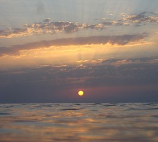 28.06.2014, 05:00 Uhr MEZ - Schnorcheln