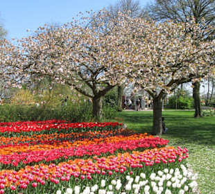 Der Frühling ist da