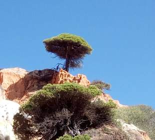 Strand Praia da Falésia