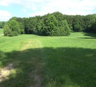 Premiumwanderweg "hochgelegen"