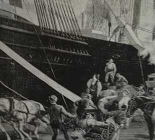 Stadtrundfahrt New York