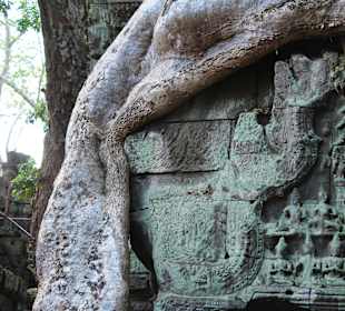 Tempel