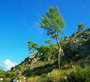 Rafting Selge National Park & Landschaft/An- & Abfahrt