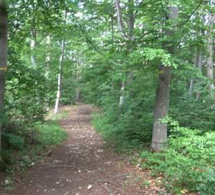 Premiumwanderweg "hochgelegen"