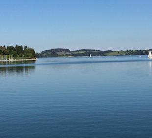 Forggensee