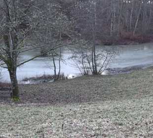 Ochsenweiher