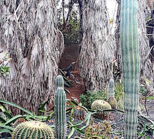 Botanischer Garten Viveiro