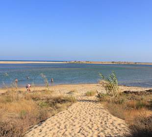 Blick in das Naturschutzgebiet