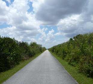 Trail mitten in den Everglades
