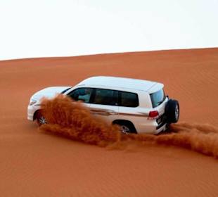 Auf Abenteuer Safari 