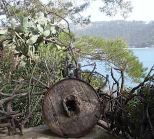 Altes Rad und Aussicht