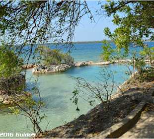 Salzwasserpool auf Wasini Island