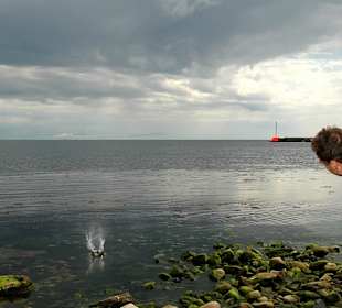 Hafen / Strand in Bornholm