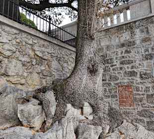 Strandpromenade Lovran