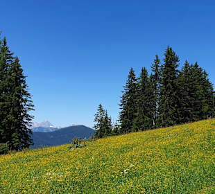 Wandern Wagrain