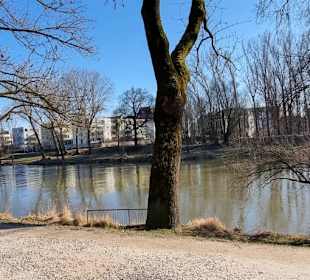 Am Donauufer entlang