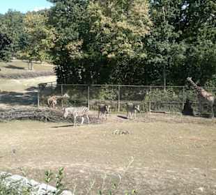 Zoo Brno