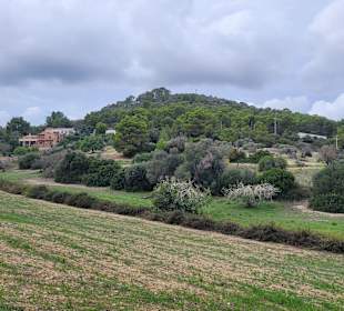 Stadtrundgang Cala Bona