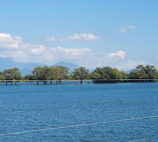 Bentota Fluss- und Mangroven Tour