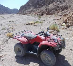 Mit dem Quad in die Wüste und totes Kamel gefunden