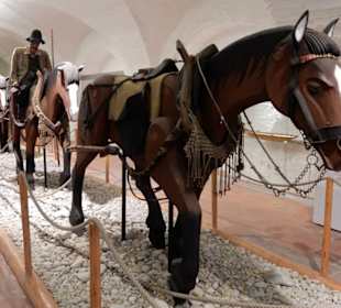 Zugpferde und Reiter