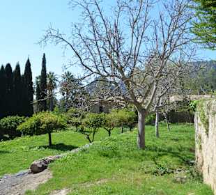 Gartenanlage