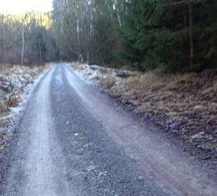 Ochsenweiher Rundweg