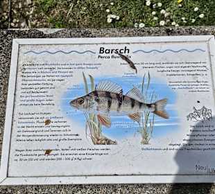 Fischlehrpfad