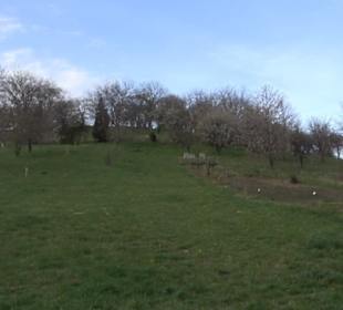 Der Grafenberg