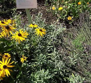 Klosterkirche Maria Gnadenzell
