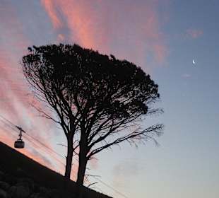 Cable-Car zum Table-Mountain