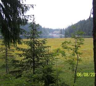 Wanderung Grosser Arbersee