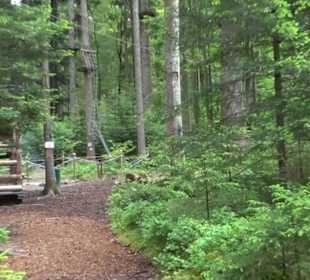 Hochseilgarten Hallwangen