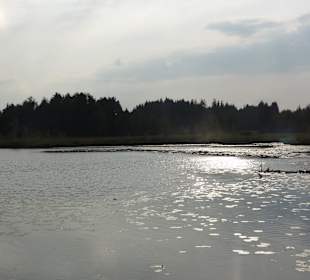 Blick von der Terrasse